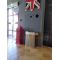 Stainless Steel Dustbin w/o Inner Bin(TH-70SR) 